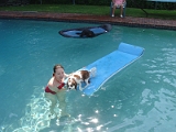 Sampson and Delilah Swimming 004